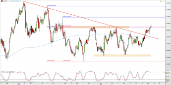 Wykres dzienny kursu USD/CHF <span> Źródło: TMS Direct <span>