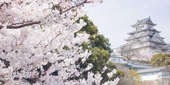 Ichomiku Kinko Hyo: USDJPY szuka potwierdzenia