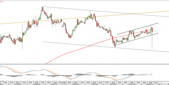 Wykres godzinowy EURUSD <snap> Źródło: TMS Direct<snap>