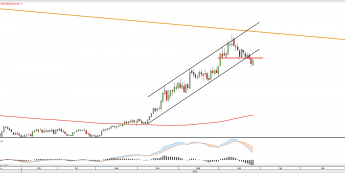 Wykres dzienny SOYBEAN <snap> Źródło: TMS Direct<snap>