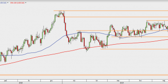 USD/CAD - wykres 1D; Źródło: TMS Direct