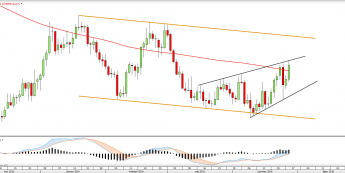Wykres dzienny COPPER <snap> Źródło: TMS Direct<snap>