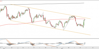 Wykres dzienny USDCHF <snap> Źródło: TMS Direct<snap>