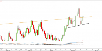 Wykres dzienny NZDUSD <snap> Źródło: TMS Direct<snap>