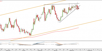 Wykres dzienny NZDUSD <snap> Źródło: TMS Direct<snap>