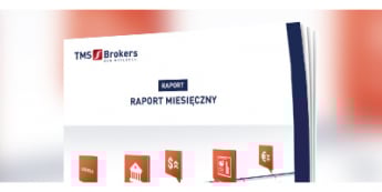 Raport miesięczny FX: lipiec 2019
