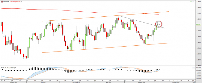 Wykres dzienny USDCAD <span> Źródło: TMS Direct<snap> Wykres dzienny USDCAD <span> Źródło: TMS Direct<snap>