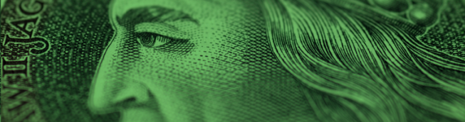 Złoty silniejszy po decyzji RPP