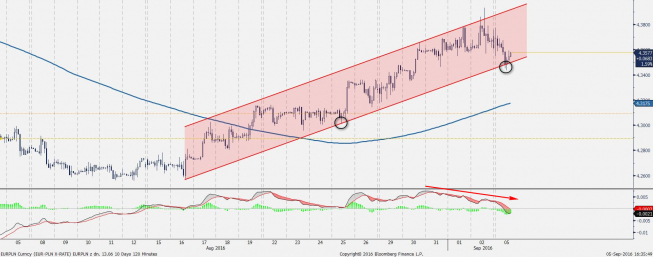 Wykres godzinowy EURPLN <span> Źródło: bloomberg Wykres godzinowy EURPLN <span> Źródło: bloomberg