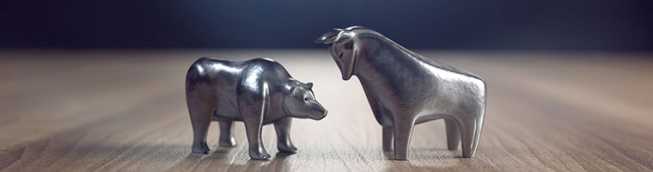 Goldman Sach daje małe szanse na start bessy na Wall Street po wyborach