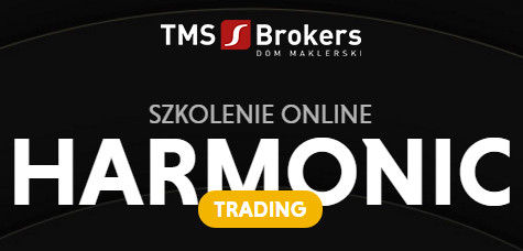 Investment University: szkolenie Harmonic Trading: wtorek 18:30