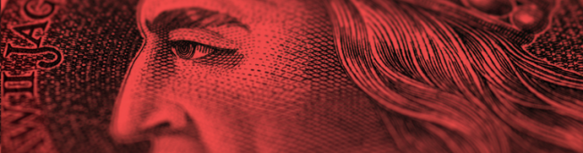 Złoty słabszy po decyzji RPP