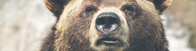 Ostre zgaszenie wzrostów na Wall Street