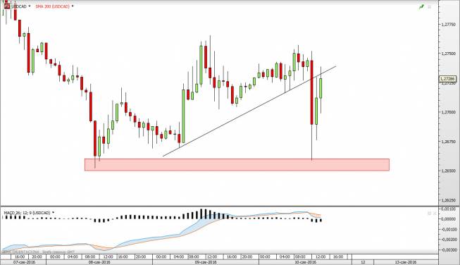 Wykres dzienny USDCAD <snap> Źródło: TMS Direct<snap>