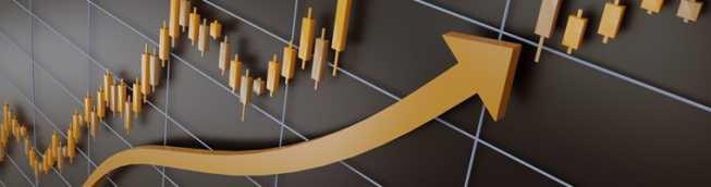 Giełdy i ropa w górę, forex stoi