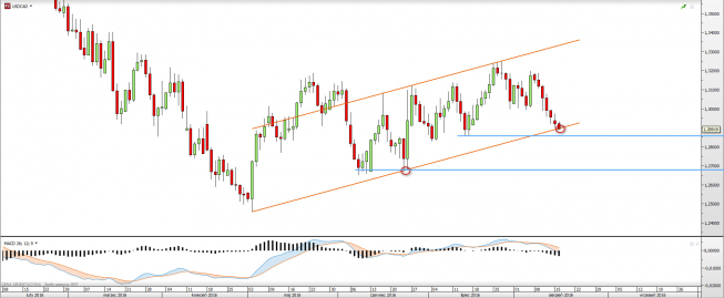 Wykres dzienny USDCAD <snap> Źródło: TMS Direct<snap> Wykres dzienny USDCAD <snap> Źródło: TMS Direct<snap>