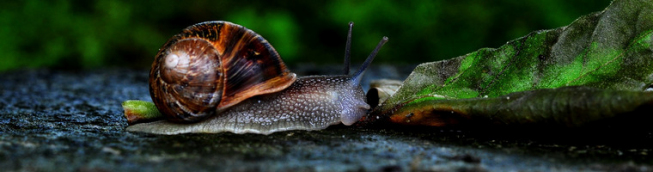 Konsolidacja