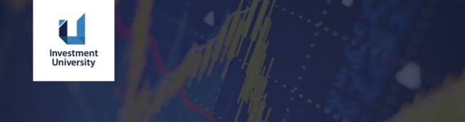 Investment University: +4,8% w skali roku