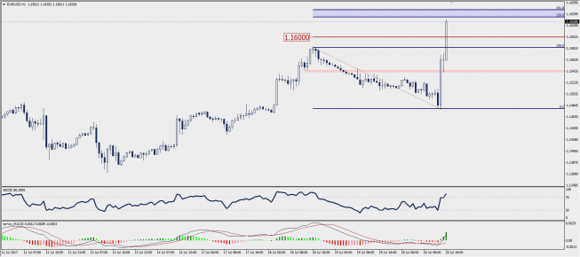 Wykres godzinowy EUR/USD; Źródło: TMS Trader