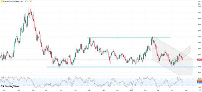 Notowania kontraktu futures na pszenicą (CBOT), dane dzienne, źródło: Tradingview Presja spadkowa na rynku pszenicy