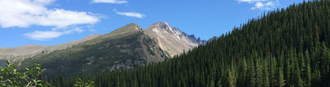 Przed Jackson Hole: niedźwiedzie czyhają na sygnał z Gór Skalistych