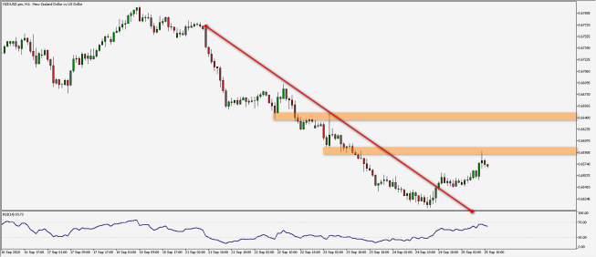 Wykres godzinowy pary walutowej NZD/USD. Źródło: TMS