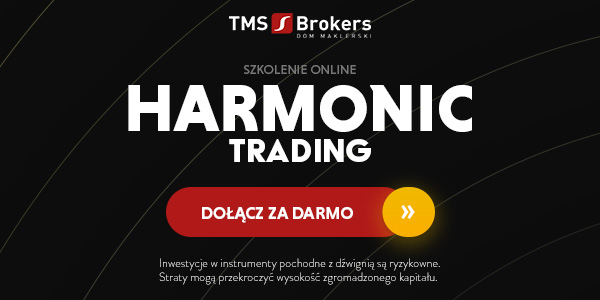 Investment University: szkolenie Harmonic Trading