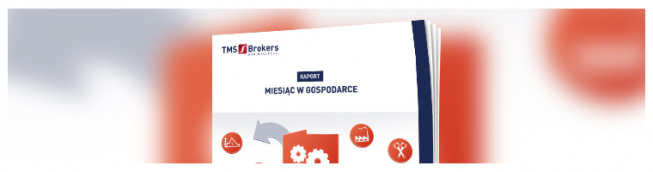 Miesiąc w gospodarce - listopad 2017